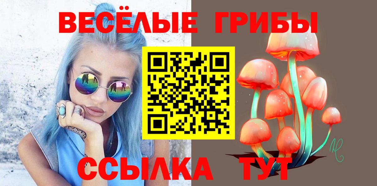 Псилоцибиновые грибы прущие грибы Чехов